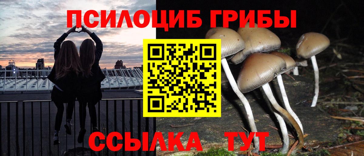 Галлюциногенные грибы Cubensis  Вход с VPN  Ефремов  Псилоцибиновые грибы Psilocybe 